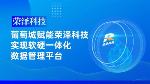 葡萄城赋能荣泽科技实现软硬一体化数据管理平台